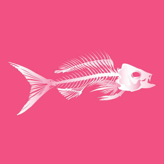 Skeleton Fish Designs - Colorware History & Design